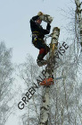 alpinizm